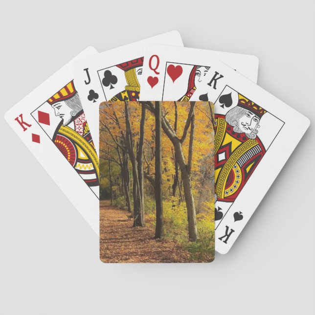 Baralho Outono na fuga II da bicicleta (Verso)