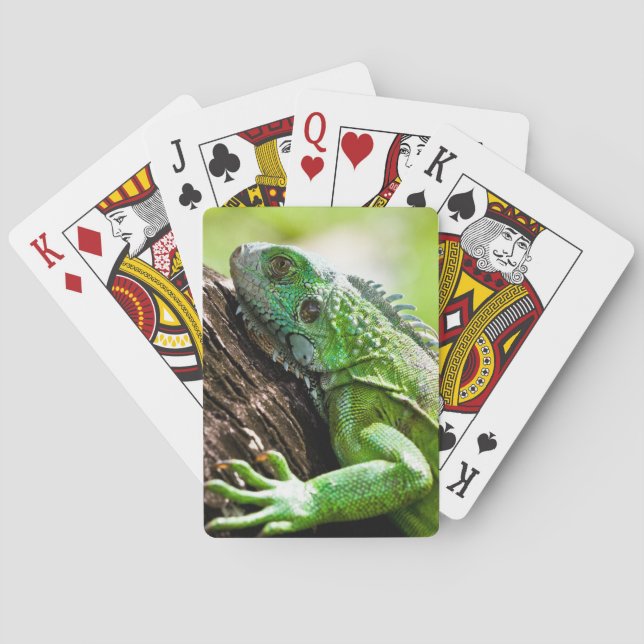 Baralho outro dia verde (Verso)