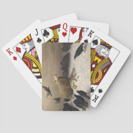 Baralho Ovelha com Morto