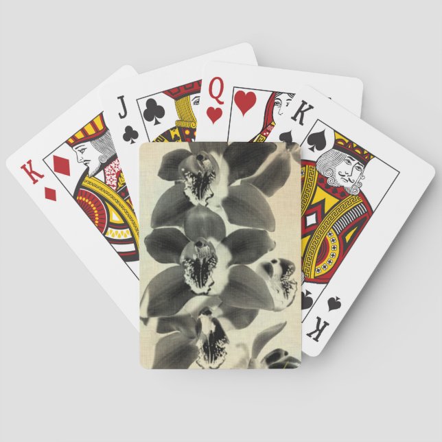 Baralho Painéis Blush Orquídeo IV (Verso)