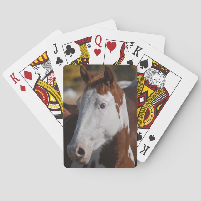 Baralho Paint Horse Piebald Play Cards Western Ranch (Verso)