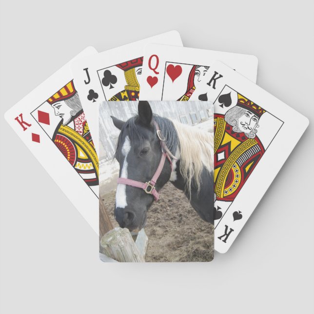 Baralho Paint Pinto Horse (Verso)