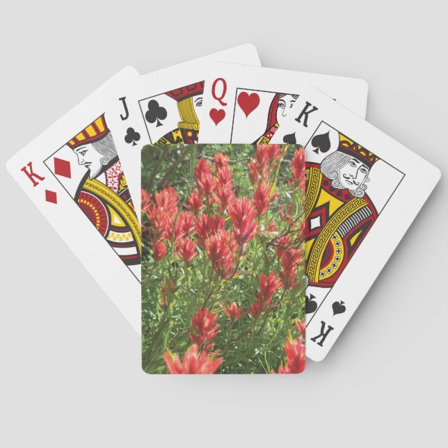 Baralho Paintbrush Playing Cards (Verso)