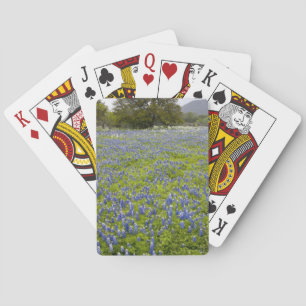Baralho País das Colinas, Texas, Bluebonnets e Carvalho