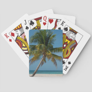 Baralho Palmeira e praia de areia branca 2