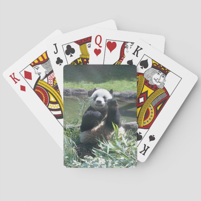 Baralho Panda Deck de Tocando Cartões (Verso)