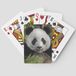 Baralho Panda jovem feliz, China