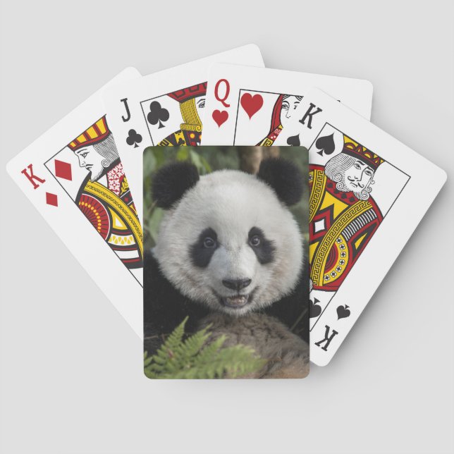 Baralho Panda jovem feliz, China (Verso)