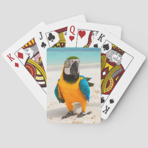 Baralho Papagaio Colorido na Areia Branca