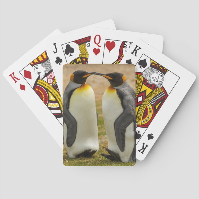 Baralho Par de pinguins-imperadores, Ilhas Falkland (Verso)