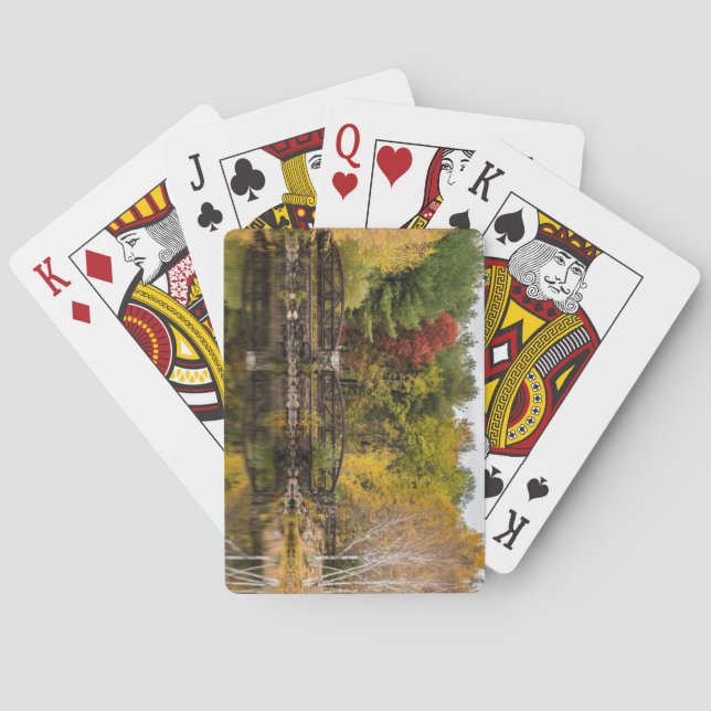 Baralho Parque Estadual Lincoln Woods, Rhode Island (Verso)