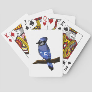 Baralho Pássaro azul-jay