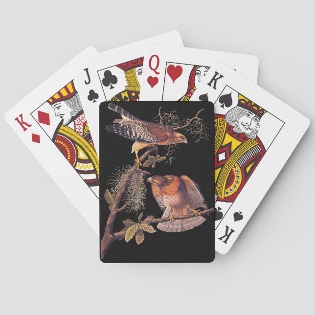 Baralho Pássaro de Preia ruivo Hawk Audubon (Verso)