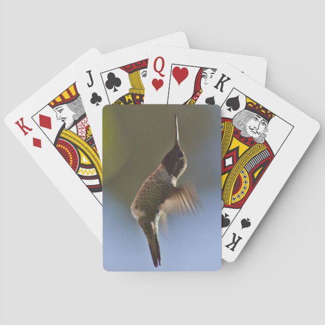 Baralho Pássaro Hummingno Voo (Verso)