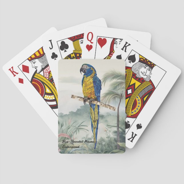 Baralho Pássaro-mãozinho-mãozinho, pintado à mão, (Verso)