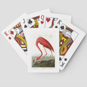 Baralho Pássaros americanos de John Audubon do flamingo d