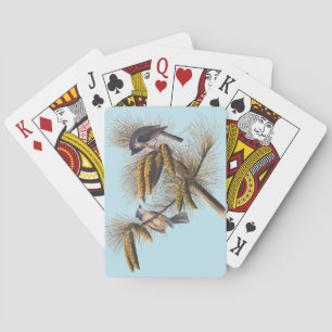 Baralho Pássaros com Titmouse Detido Audubon na Árvore P