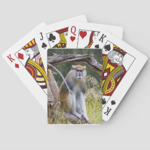 Baralho Patas Monkey