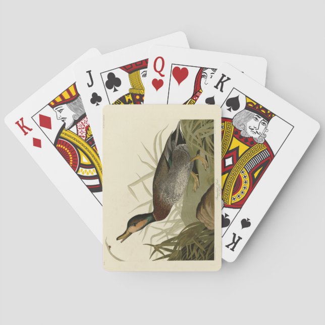 Baralho Pato bemaculado (de cerveja), Pássaros de Audubon  (Verso)