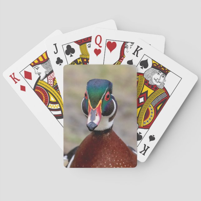 Baralho Pato de Madeira (Verso)