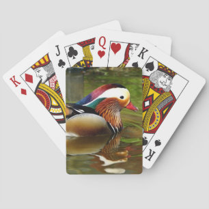 Baralho Pato de mandarino