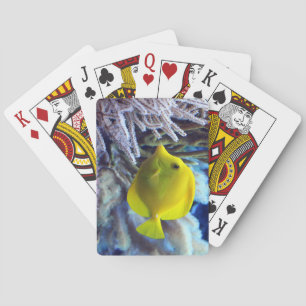 Baralho Peixe-Tang De Saltwater Amarelo