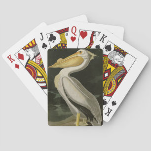 Baralho Pelicano Branco Americano, Aves da América de Audu