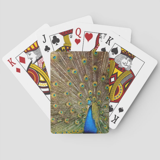 Baralho Penas da Cauda Peacock (Verso)