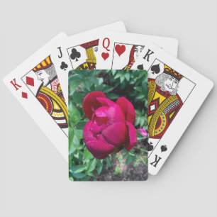 Baralho Peony Play Cards