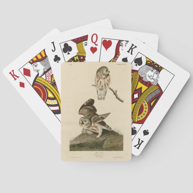 Baralho Pequena Coruja (Escaravelho) Aves da América de Au (Verso)