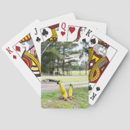 Baralho Perdido no Jardim de novo