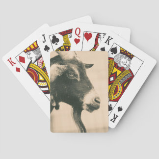 Baralho Perfil de destino