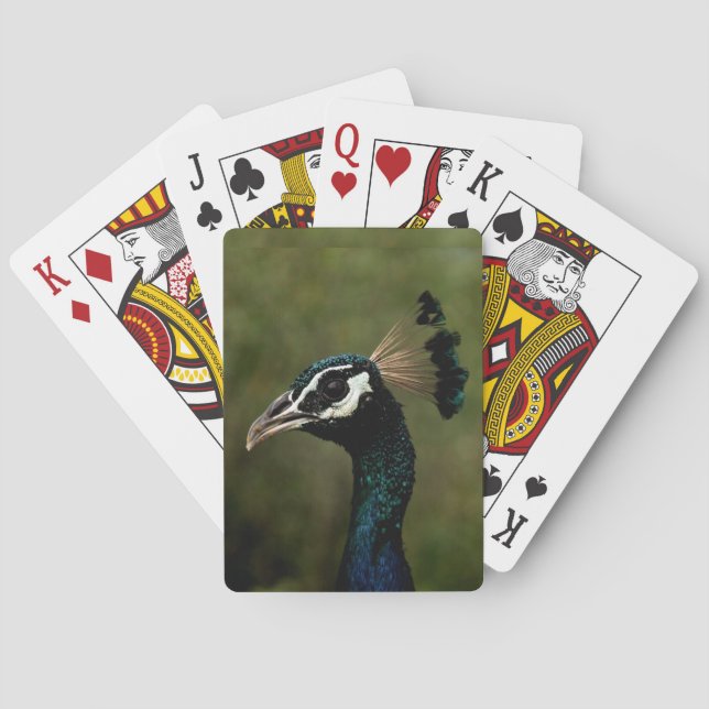 Baralho Perfil de Peacock (Verso)