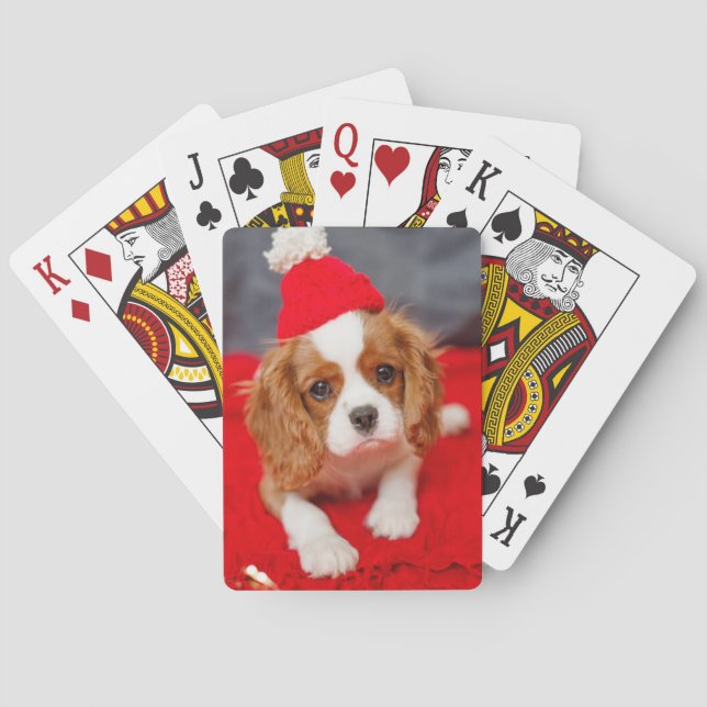 Baralho Pet Card Deck de Reprodução de Foto Personalizada (Verso)