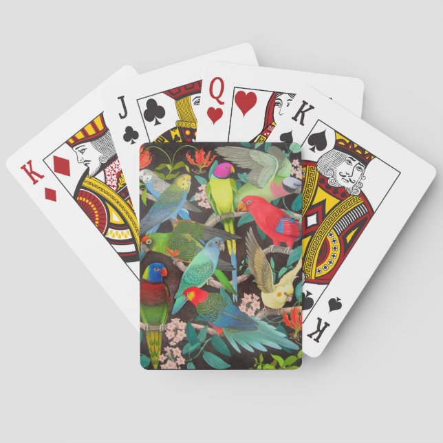 Baralho Pet Parrots of the Wold II Play Cards (Verso)