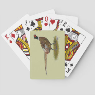 Baralho Pheasant Rooster