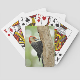 Baralho Pica-pau Vermelho-Inchado