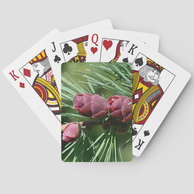 Baralho Pine Miniatura Bebê Cones Natureza (Verso)