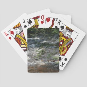 Baralho Pine Tree Ramifica Sobre Rapids No Stream Orton