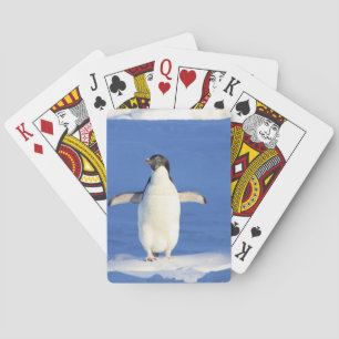 Baralho Pinguim
