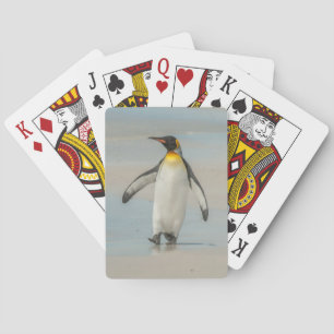 Baralho Pinguim caminhando na praia