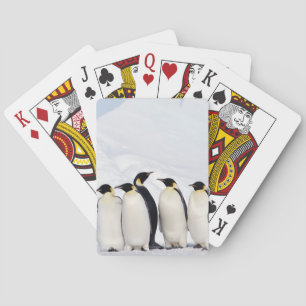 Baralho Pinguins de imperador