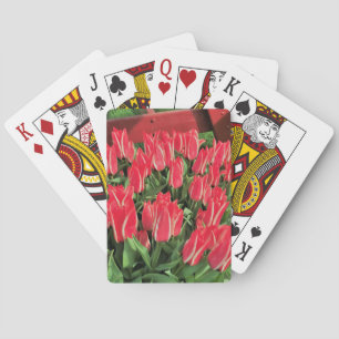 Baralho Pinóquio Tulipas