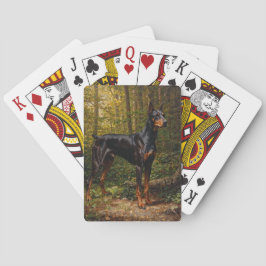 Baralho Pinscher Dobermann