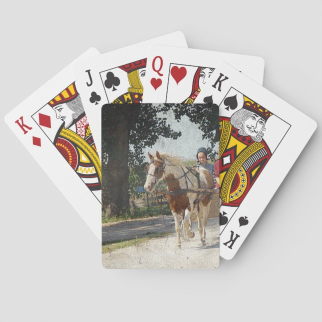 Baralho Pinto e crianças em escuta (Verso)