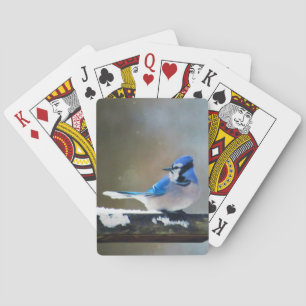 Baralho Pintura Blue Jay - Arte Original para Pássaros