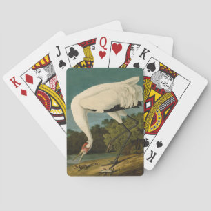 Baralho Pintura de pássaros Audubon Crane Whoping