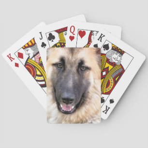 Baralho Placa de german shepherd