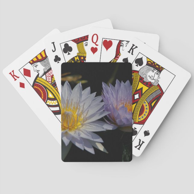 Baralho Placas Brancas de Branca com Lotus (Verso)