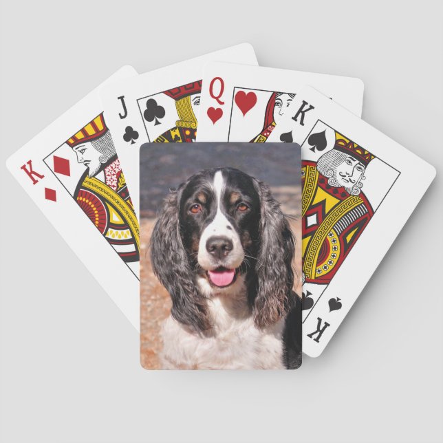 Baralho Placas De Jogar Cachorro Do Springer Spaniel (Verso)